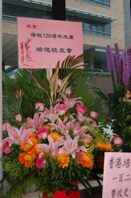 PTAA flower.JPG