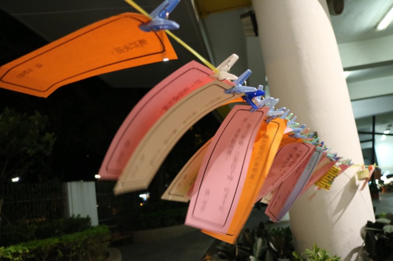 10-IMG_1729.JPG