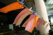 10-IMG_1729.JPG