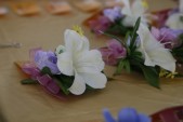 PT131_1_ (007).JPG